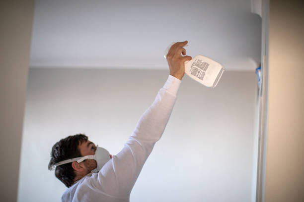 Certified Mold Removal in Post Falls, ID
