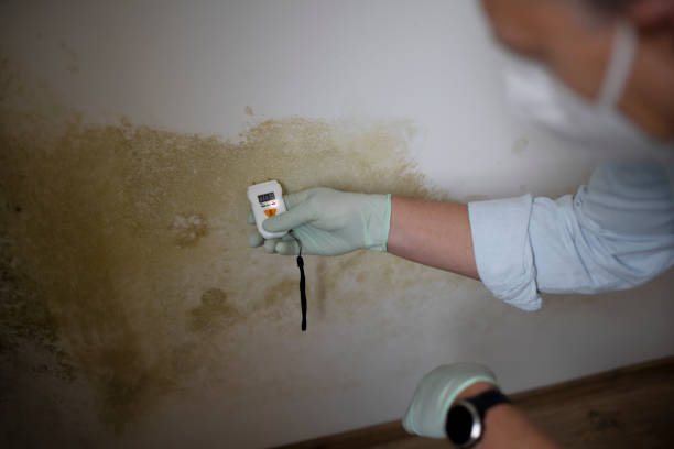 Best Mold Testing  in Post Falls, ID