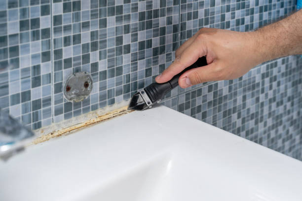 Best Local Mold Removal Service  in Post Falls, ID