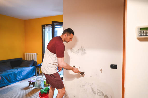 Best Mold Cleaning Services  in Post Falls, ID